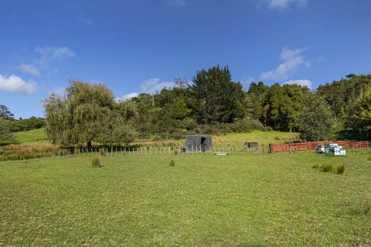 71a Wright Road Dairy Flat_16