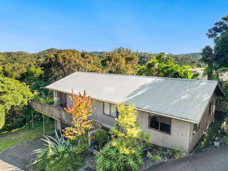 23 Tui Grove_0
