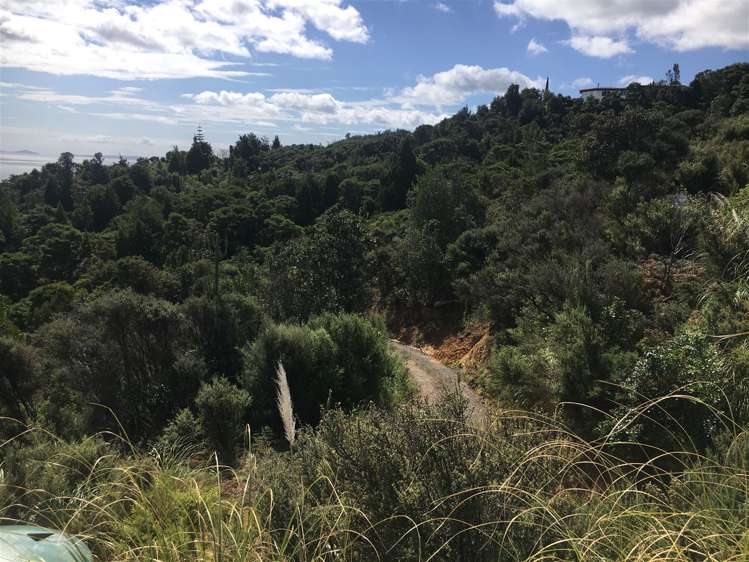 45 Otuturu Crescent Thames_7