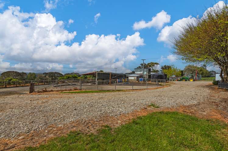 81127 State Highway 2 Pahiatua_13