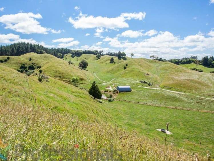 1788 Manawahe Road Manawahe_22