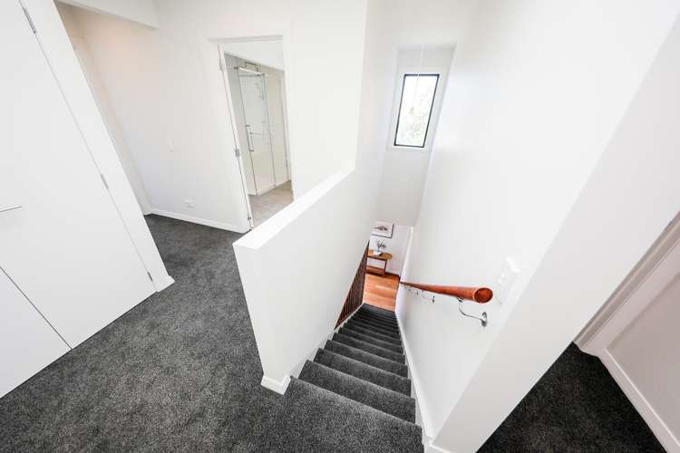 354 The Esplanade Island Bay_22