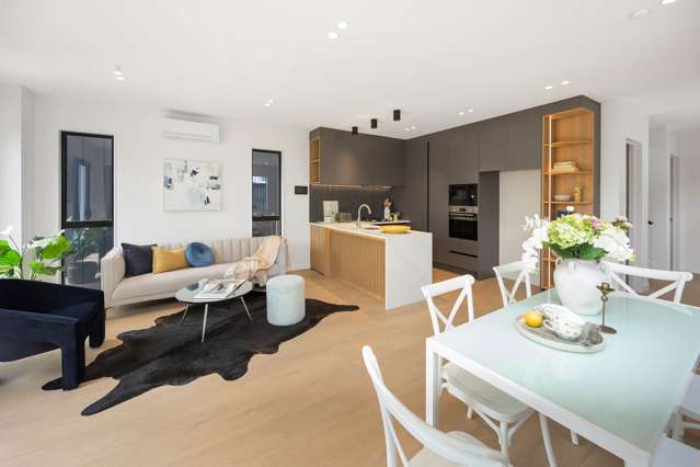 55 B,C,E Tawa Road One Tree Hill_3