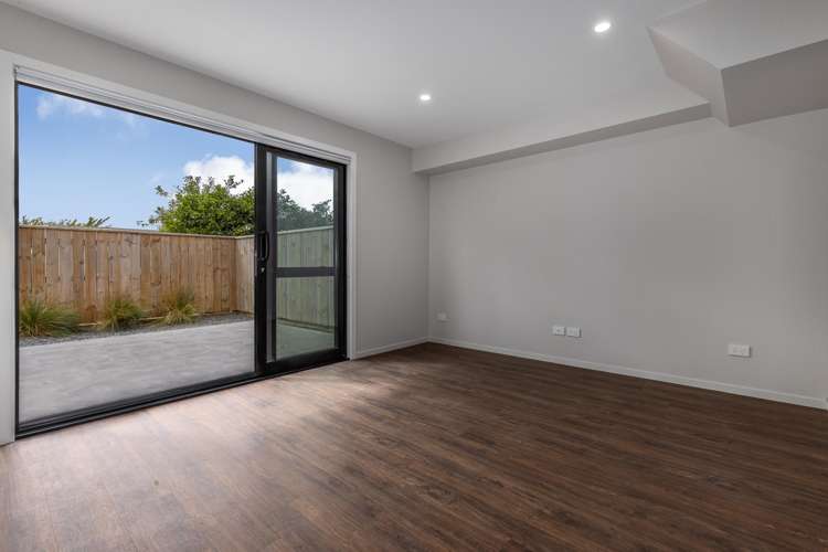 21A Ferguson Street Levin_6