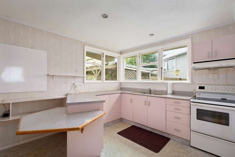 105 Harvey Crescent Thames_5