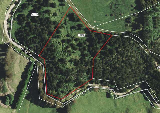 1028 A,B,C McIvor Road Rotoma_2