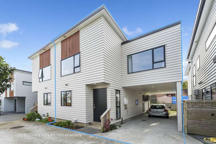 43B Fitzherbert Avenue_0