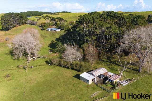 549 Whiriwhiri Road Otaua_4