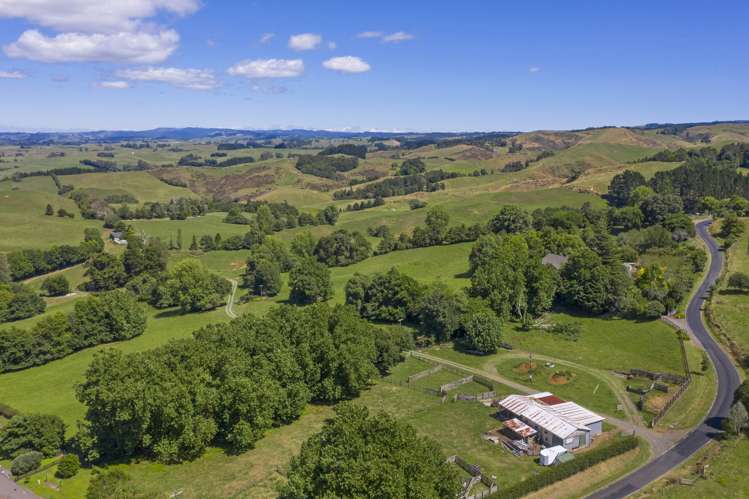 Te Tahi Road Puketotara_11