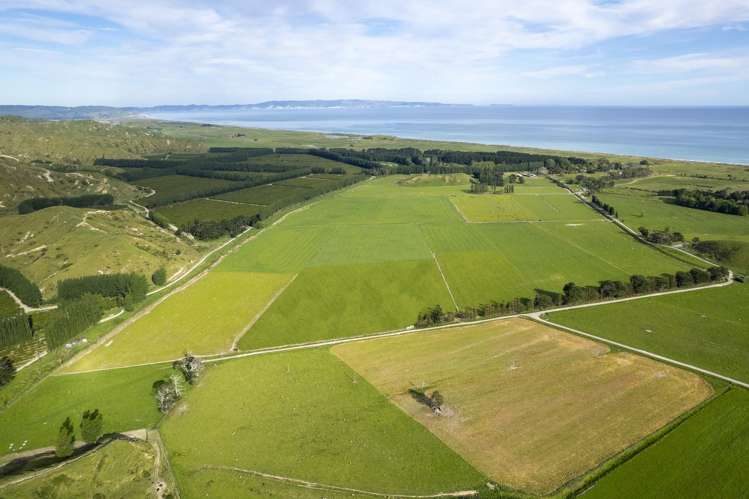 2225 State Highway 2 Whakaki_4