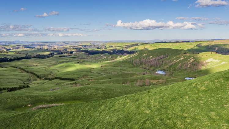 463 Gull Flat Road Central Hawkes Bay Country_19