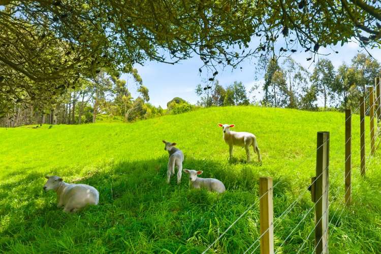 340D Ngarara Road Waikanae_0