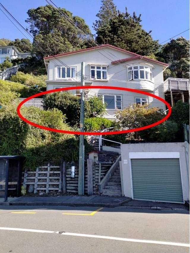 112B Grafton Road Roseneath_2