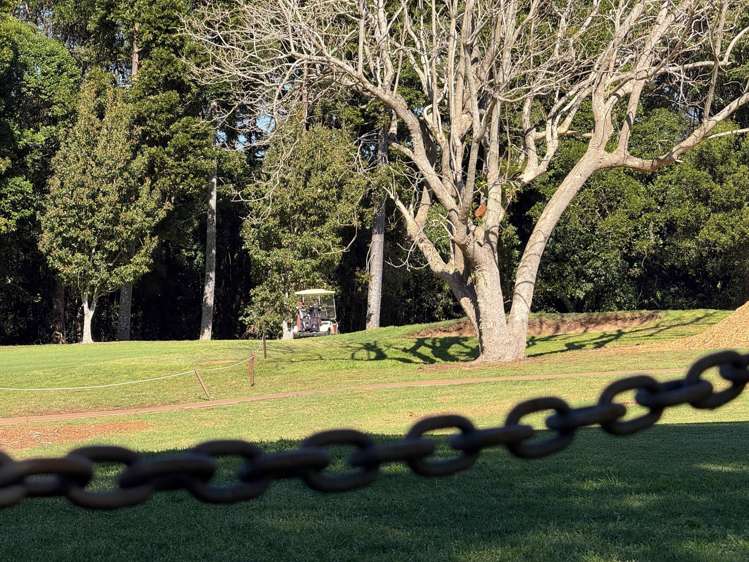 47 Pacific Parade Tamborine Mountain_8