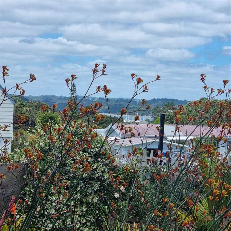 11 Tirairaka Terrace Russell Surrounds_14