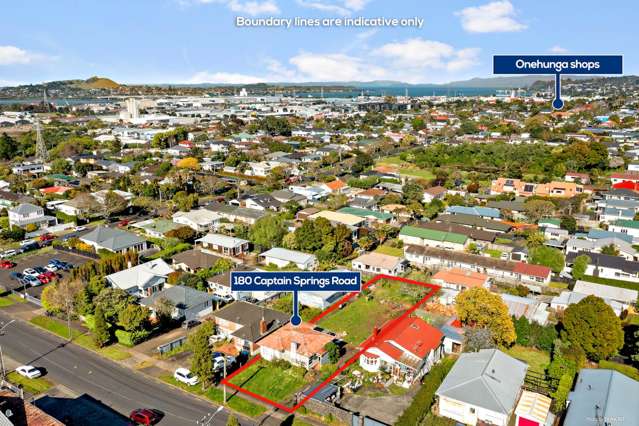 180 Captain Springs Road Onehunga_3