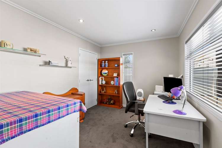 244a Saint Aubyn Street New Plymouth Central_18