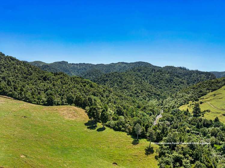 348D Rea Road Katikati_15