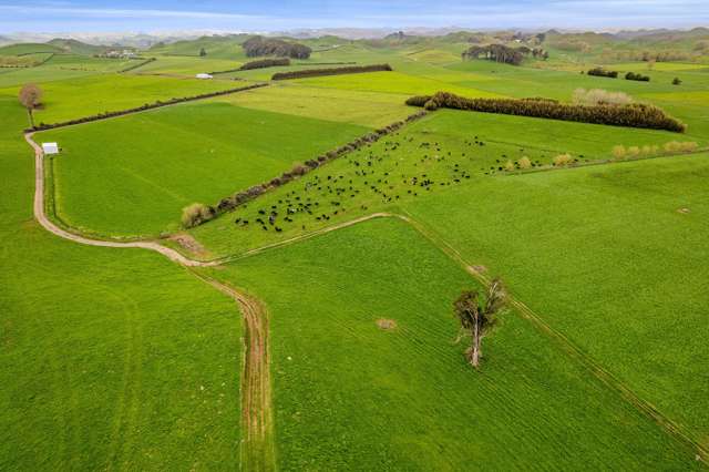 52-62 Pukengahu Road Pukengahu_4