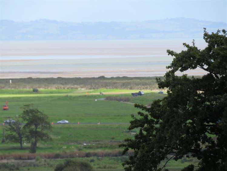 226c Waikiekie Road Thames_19