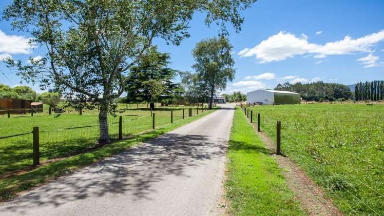 128 Mangamutu Road Murupara Surrounds_14