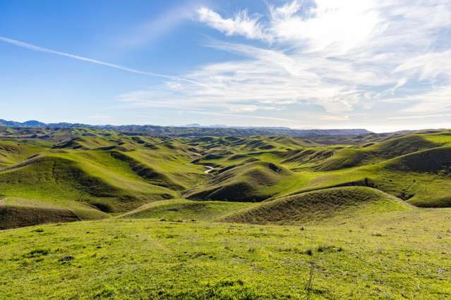 Versatile and sizeable south Marlborough farm