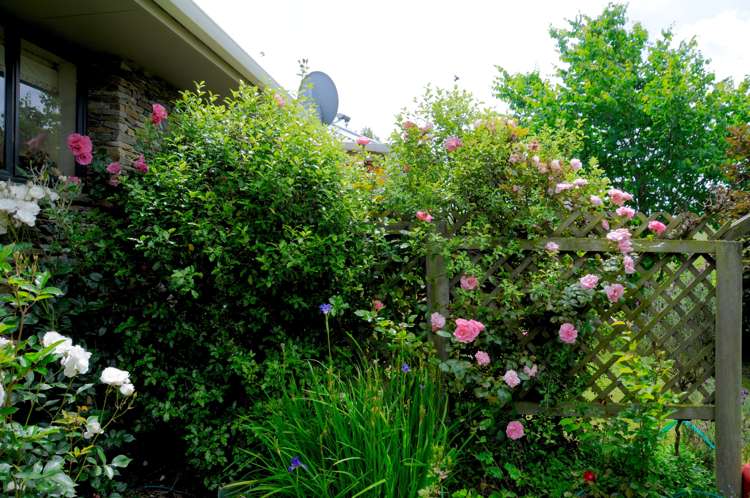 392 Island Stream Road Five Forks and Surrounds_26