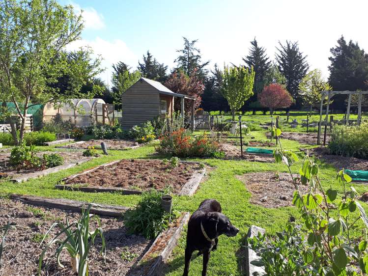 210 River Road Lincoln_17