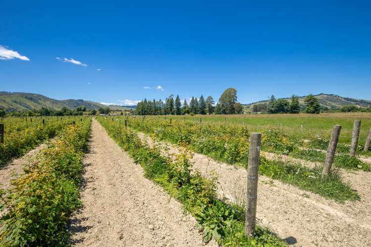 160 Tadmor Valley Road Tapawera_16