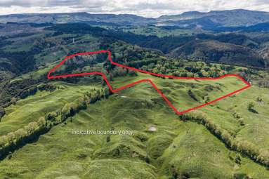 558 Old Coach Road_3