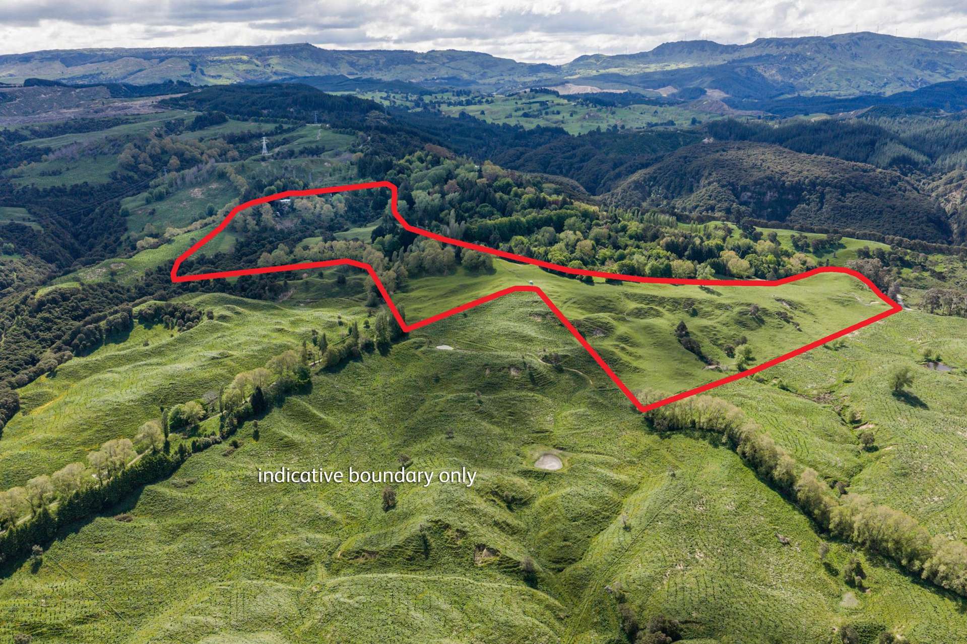 558 Old Coach Road Te Pohue_0