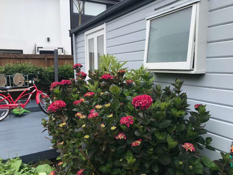 10 Moa Place Christchurch Central_11