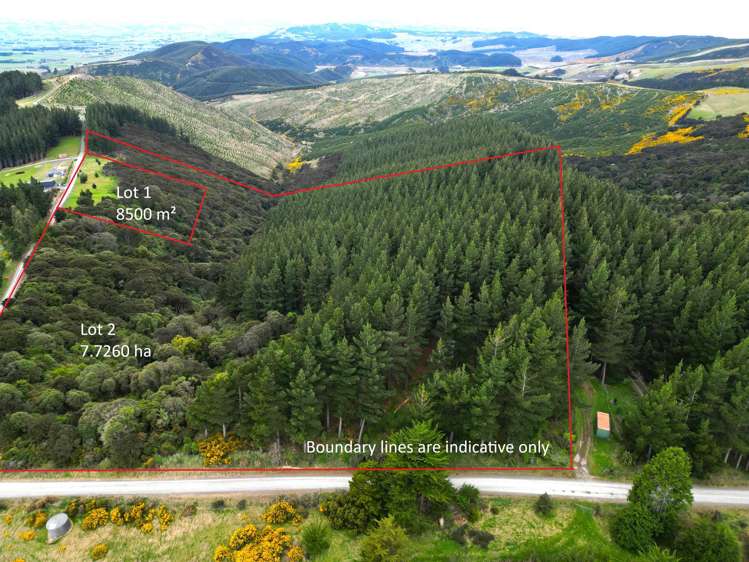 1 Bells Bush Road and Sinclair Road Waihola_1