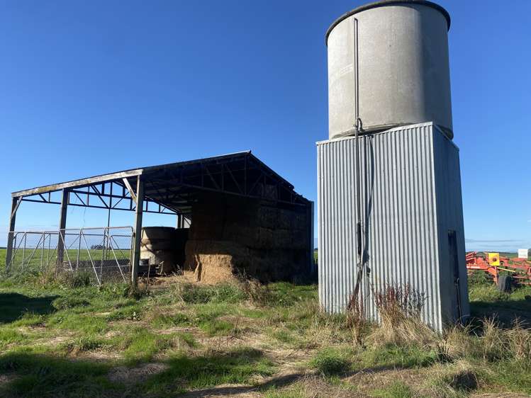 Bristol Road Pareora_6