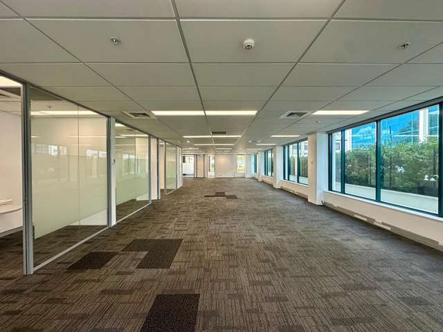 101 Carlton Gore Road Newmarket_2