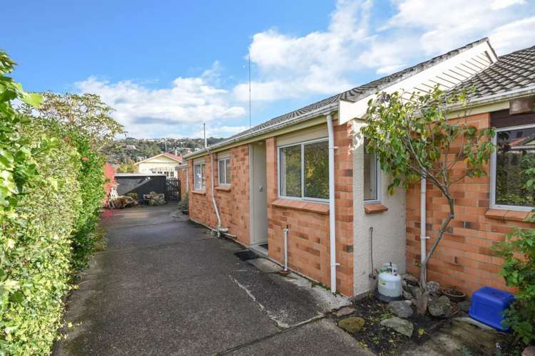 84b Hargest Crescent Saint Clair_0