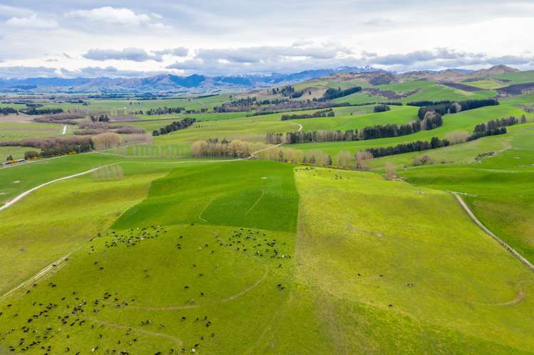 107a-E Mouse Point Road Culverden_5