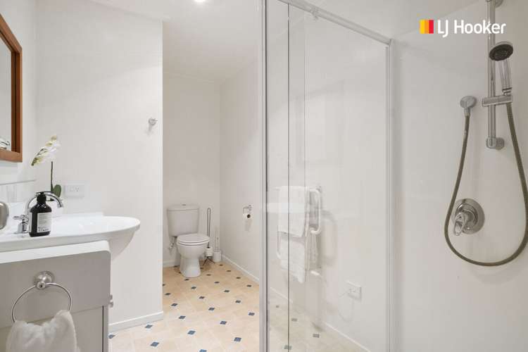 239 Larnach Road Waverley_24