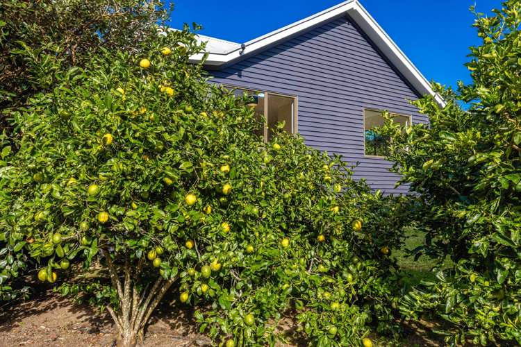 23 Sea View Road Ostend_12