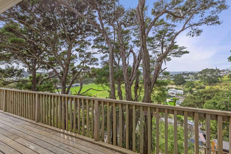 29d Kent Terrace Raglan_24