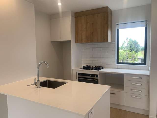 247 PARK ESTATE ROAD "PARK GREEN" Papakura_3