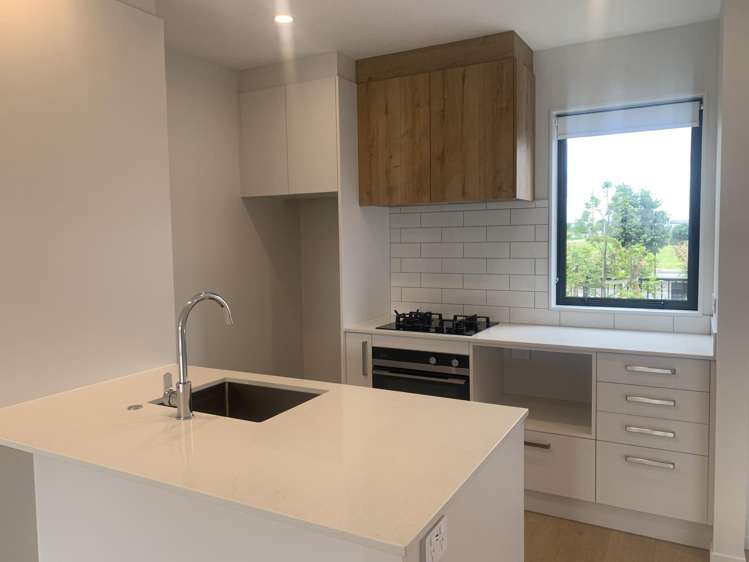 247 PARK ESTATE ROAD "PARK GREEN" Papakura_2