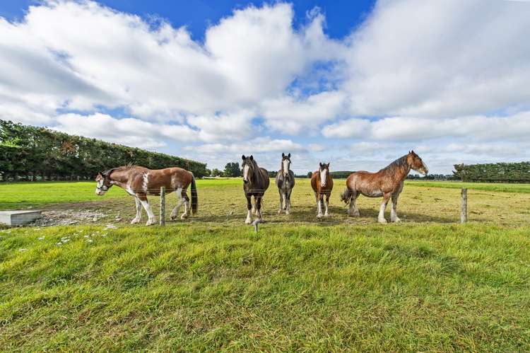 143 Telegraph Road Burnham_25