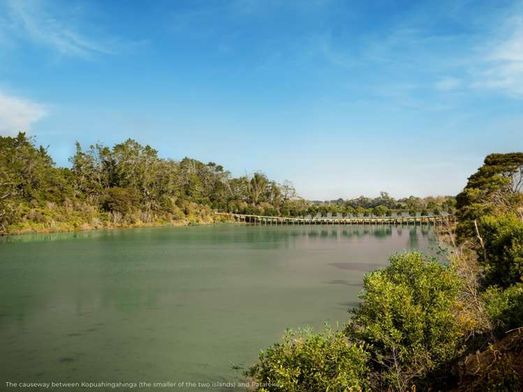 Pararekau Island Karaka_4