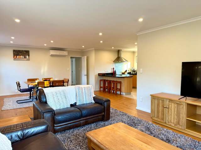  67 Diamond Avenue Spreydon_3