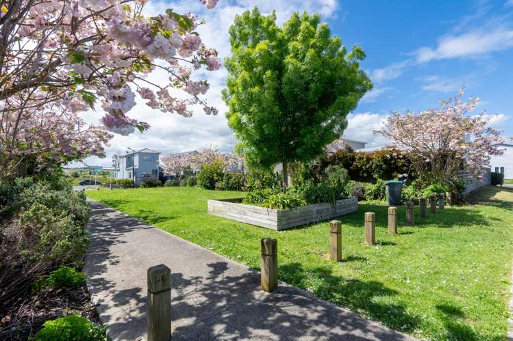 8 Divide Loop Takanini_13