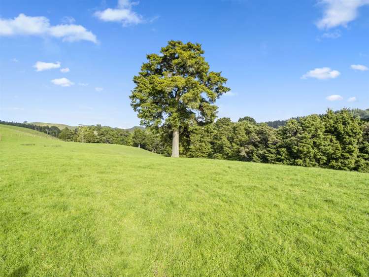 216 Haruru Road Kaukapakapa_3