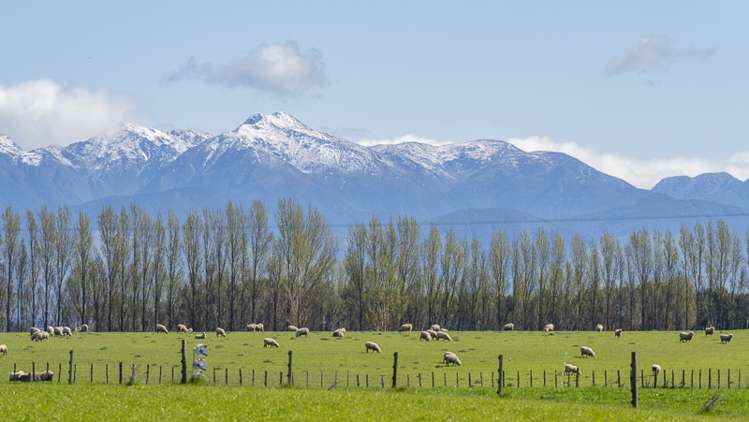 Lot 1, Lot 2 Cornwall Road East Taratahi_9