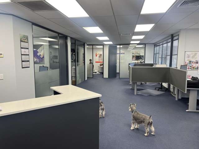 130 Cryers Road East Tamaki_4