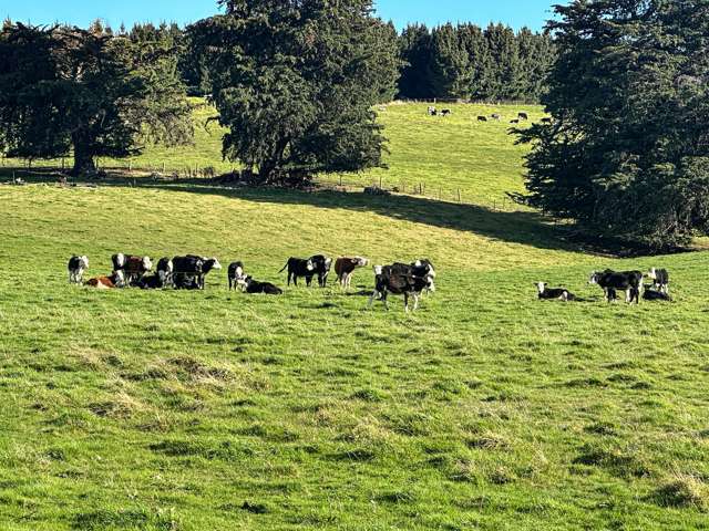 2 McLaggan Road Waimumu_3